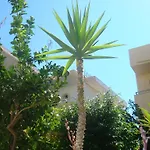 Billy's 4* Φαληράκι